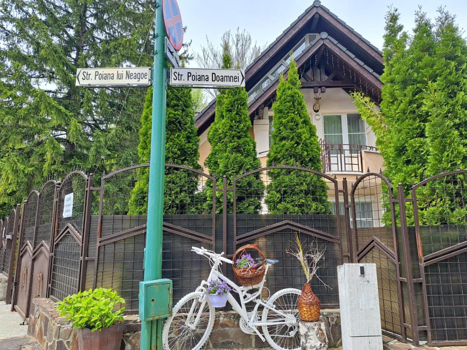 Pensiunea Colina 포이아나브라소프 외부 사진